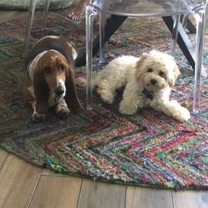 Meet your Posher, Elle